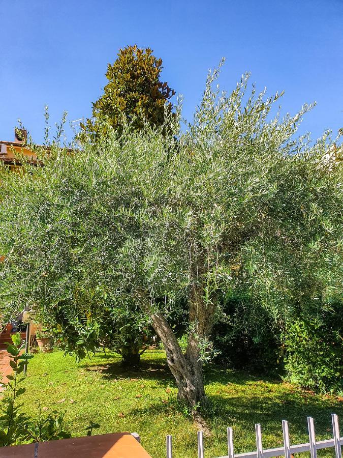 Villa Elsa, Cesena Zona Ippodromo 外观 照片