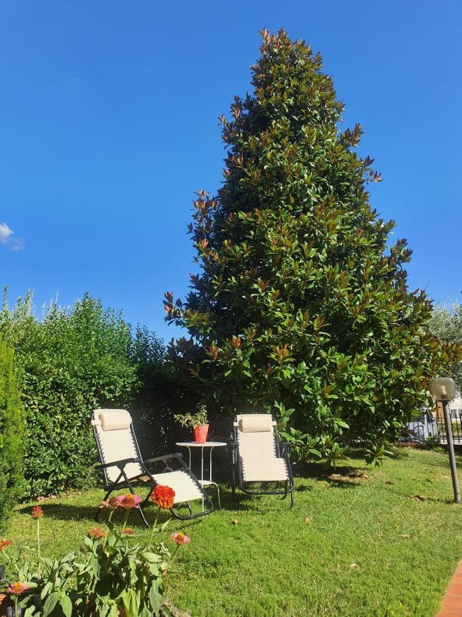 Villa Elsa, Cesena Zona Ippodromo 外观 照片