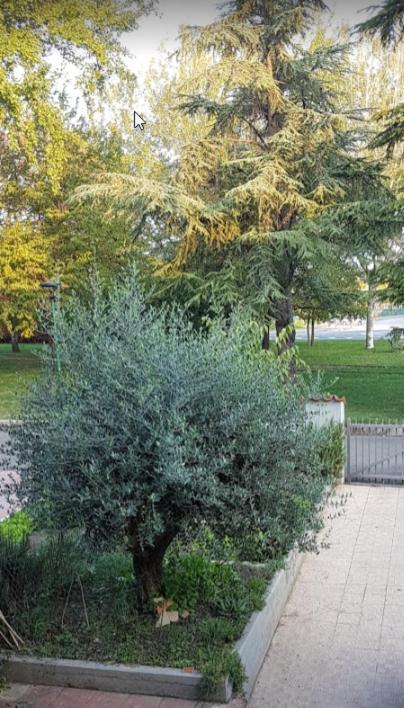 Villa Elsa, Cesena Zona Ippodromo 外观 照片