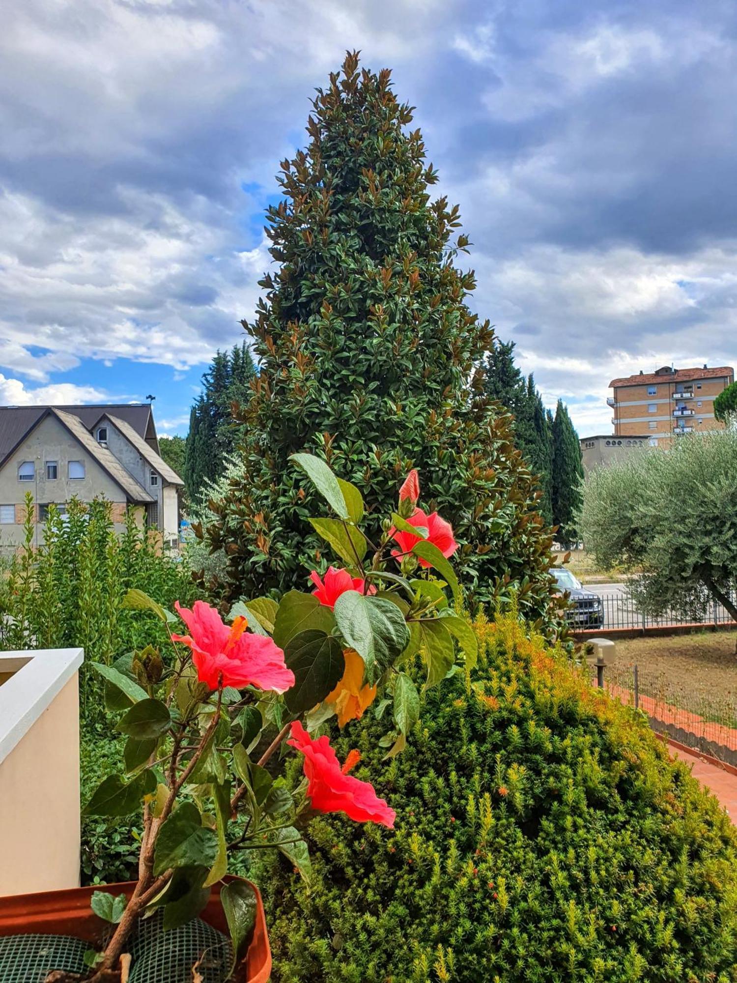 Villa Elsa, Cesena Zona Ippodromo 外观 照片