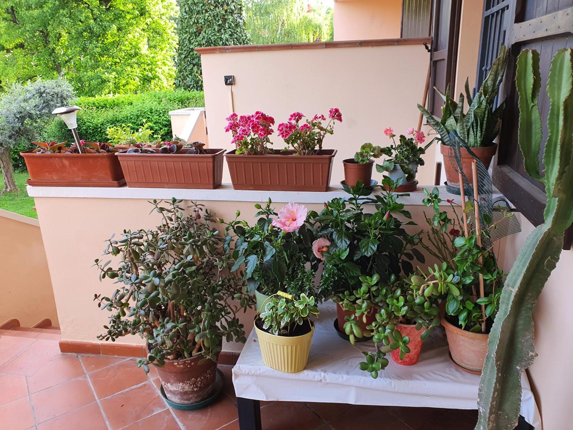 Villa Elsa, Cesena Zona Ippodromo 外观 照片