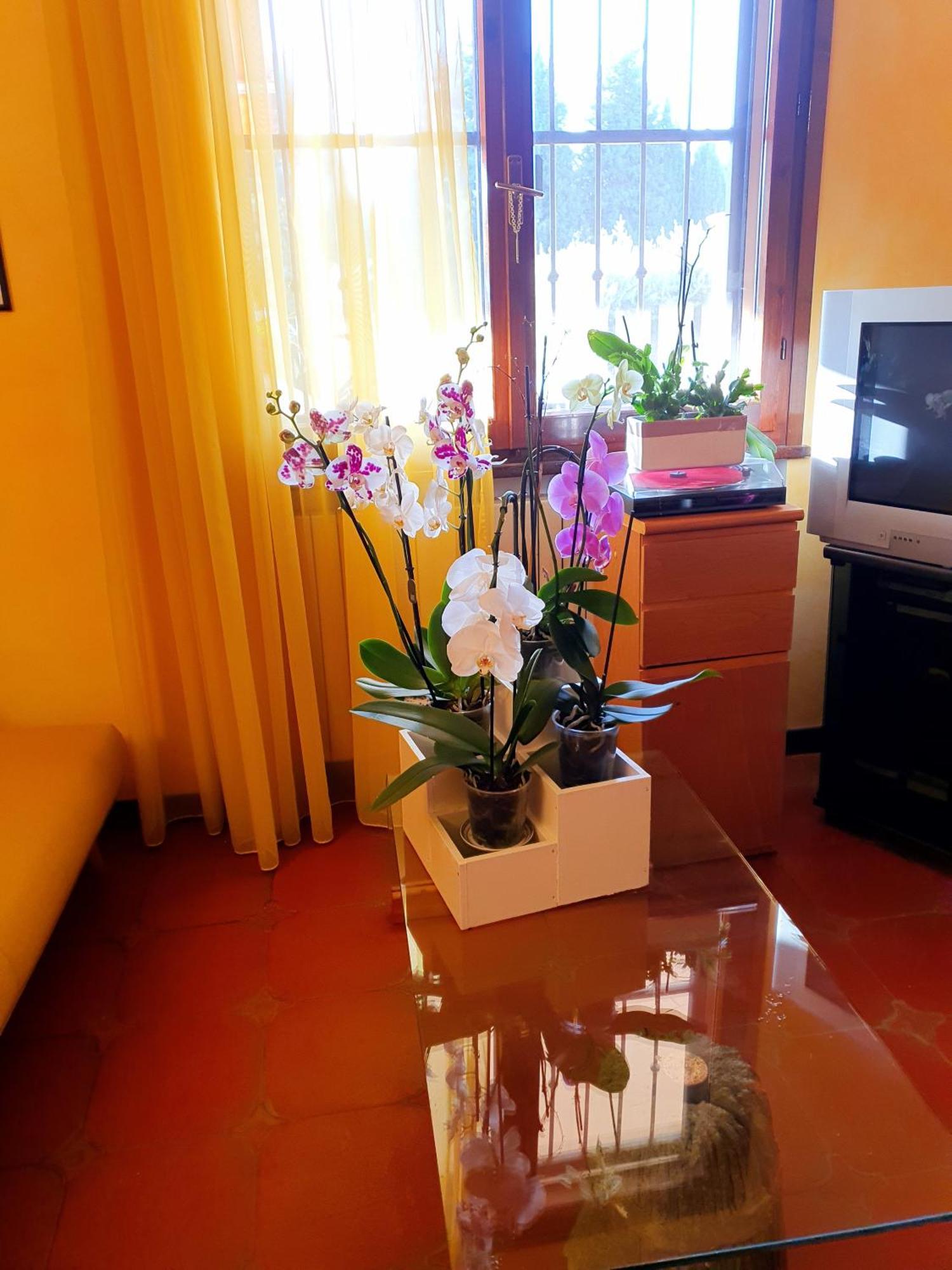 Villa Elsa, Cesena Zona Ippodromo 外观 照片